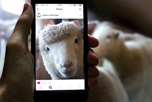 Capturing the charm on the farm: marketing to farmers in the age of Instagram